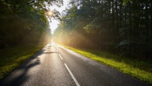 Wet asphalt road in forest against the sun.